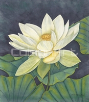 Caroline Mottinger Jane's Lotus Blossom
