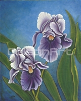Caroline Mottinger Purple Iris