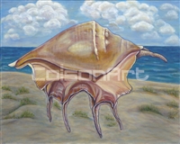 Caroline Mottinger Shell and Sea