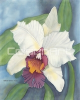 Caroline Mottinger White Orchid I