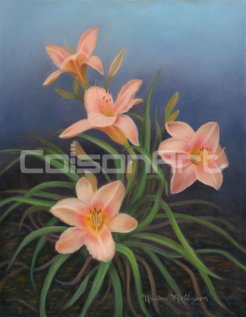 Nadine Robinson Day Lilies