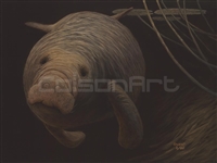 Sweat Manatee