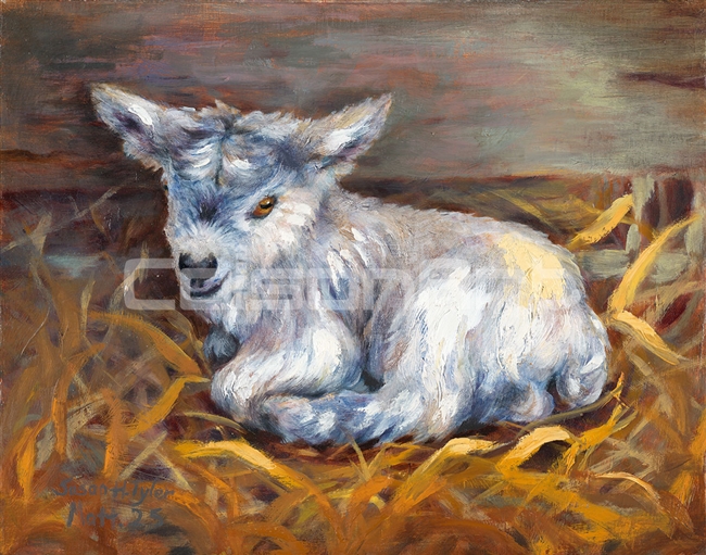 Susan Harris Tyler Vicki's Goat