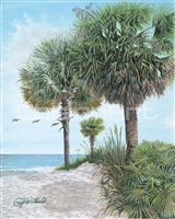 Craig Williams Palmetto Breeze