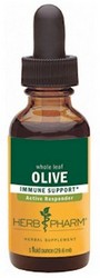 OLIVE LEAF EXTRACT  - 1 fl oz