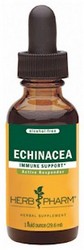 ECHINACEA (AF)GLYCERITE - 1 fl oz