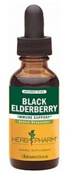 BLACK ELDERBERRY GLYCERITE - 1 fl oz