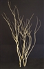 Beau Monde Centerpiece Branches, Sandblasted, 30" Tall