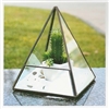 Geometric Glass Terrarium, Pyramid Shape