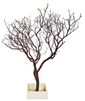 Natural Red Manzanita Branch 36" Tall with Base, (Shipping Included!)
