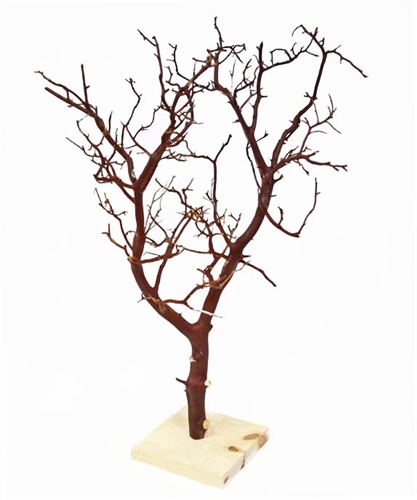 Manzanita branches, 18" tall.