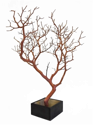 Natural Manzanita Branch, 24" Tall with Base Included