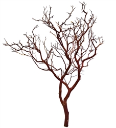 Natural Red Manzanita Branches, 30" Tall