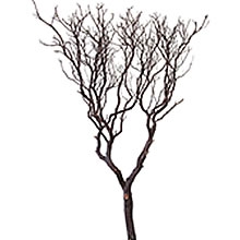 Natural Red Manzanita, 60" (case of 4)