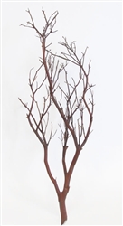 Chaparral Manzanita Branches, 24" Tall