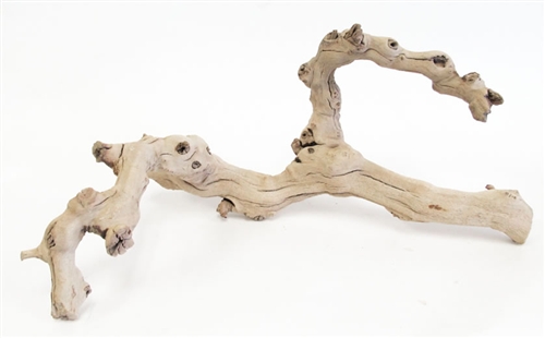 Dried Grapewood Branch, Decorative Objects