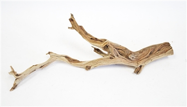 Sandblasted Ghostwood (California Driftwood), 10-12"