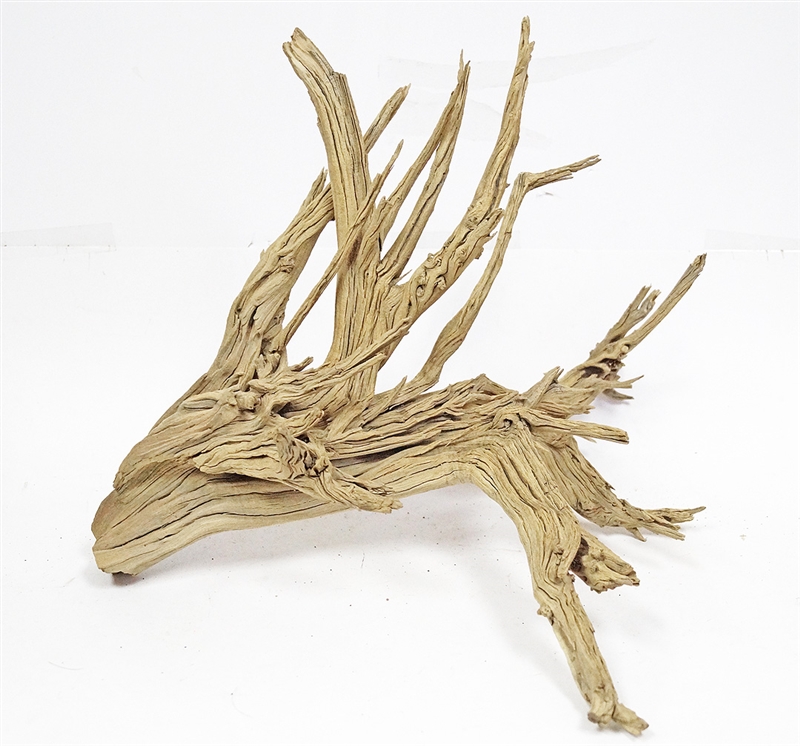 CALIFORNIA DRIFTWOOD / GHOSTWOOD – Floral Props and Design