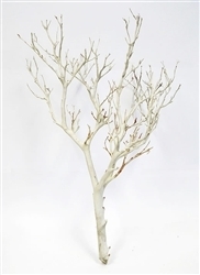 Sandblasted Manzanita Branches, 18"  (case of 25, shipping included!)