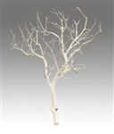 Sandblasted Manzanita Branches, 24 inches tall