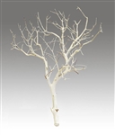 Sandblasted Manzanita Branches, 24" tall, (case of 4 shipping included!)