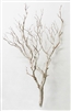 Sandblasted Manzanita Branches, 36" tall
