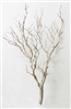 Sandblasted Manzanita, 42" tall (case of 3, shipping included!)