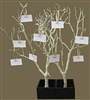 Sandblasted Manzanita Wish Tree Kit (shipping included!)