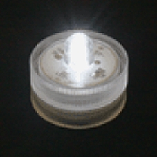 Submersible LED Light, White