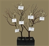 Manzanita Wish Tree Kit (shipping included!)
