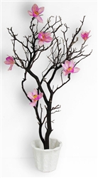 Natural Manzanita Branch Centerpiece Kit - SHIPPING INCLUDED!