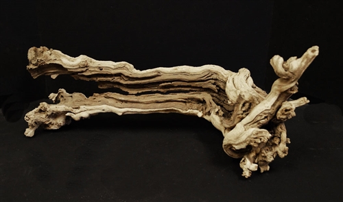 Large Grapewood Burl - LBRL-1120-09