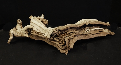 Large Grapewood Burl - LBRL-1120-13