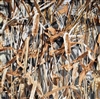 Flooded Timber Canvas