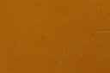 M100-0207 Classic Med Brown Walnut