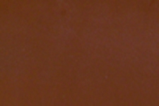 M230-9834 Fil Stick Gunstock Walnut