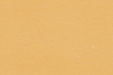 M267-0063 Honey MapleTouch Up Marker