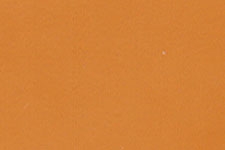 M267-0081 Natural Amber Touch Up Marker