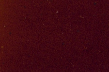 M267-0364 Heartwood Walnut Touch Up Marker