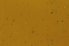 M267-2052 Med. Dk. Oak Touch Up Marker