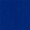 NAV-9901 Blue Ribbon