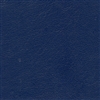 NAV-9902 Celestial