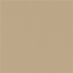 NUA-2453 Sandstone