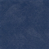 SEA-0857 Blue Marlin