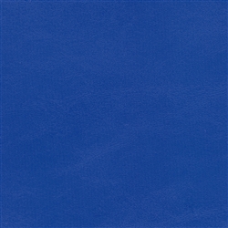 ZAN-3123 True Blue