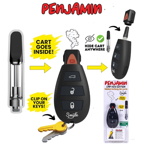 Penjamin Car Key Variable Voltage Cartridge Battery