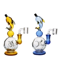 WP-DOL-QB    Dolphin - Donut Base Waterpipe With Banger 8''