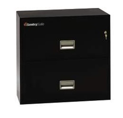 SentrySafe 2 Drawer Insulated Lateral Files - 30"