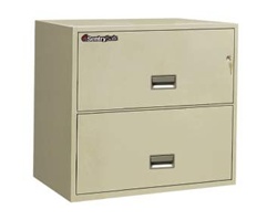 SentrySafe 2 Drawer Insulated Lateral Files - 30"