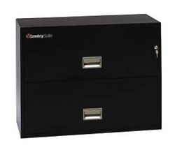SentrySafe 2 Drawer Insulated Lateral File - 36"